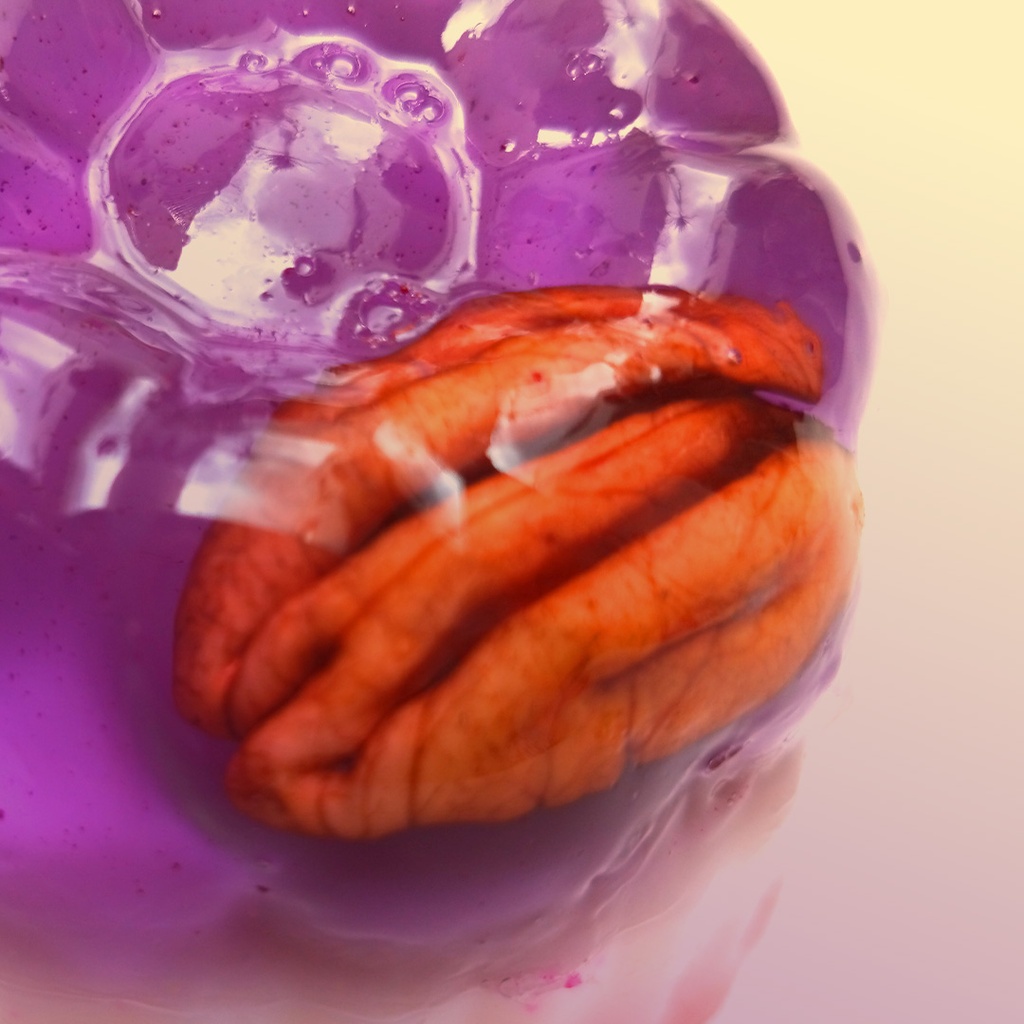 Gelatina 4