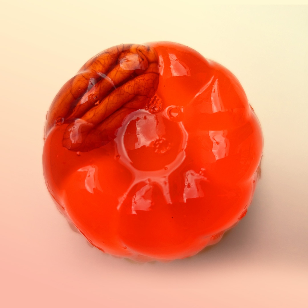 Gelatina 4